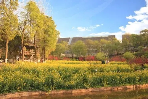 2022年重慶市藝術(shù)類(lèi)專(zhuān)業(yè)統(tǒng)考簡(jiǎn)章及防疫須知已發(fā)布